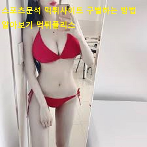 스포츠분석